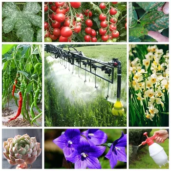 Specializuojasi Gydymo Miltligė ir Šaknų Puvinio Dirvožemio Dezinfekavimo Augalų, Gėlių Augimo Bonsai Fungicidas, 10g