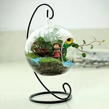 Stiklo Vaza Kabančių Augalų Vaza, Gėlės ir Augalai Multi-naudoti Žvakių Laikiklis Vestuvių Dekoravimas Namų Stalo Biuro Dekoras Dropshipping