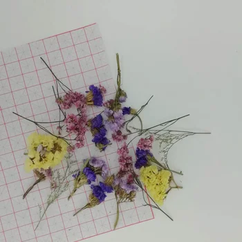 Sumaišykite Natūralios Džiovintos gėlės, derva, juvelyrinių Reikmenys / nagų dailė dekoracijos / prekių amatų 5g/maišelis