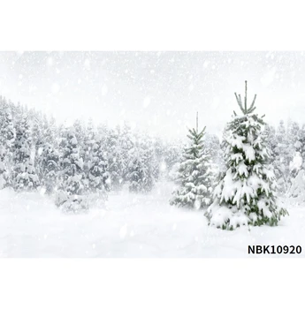 Svajinga Žiemos Medis Naktį Kalėdas Kaime, Miško, Sniego Star Interjero Namų Decro Vaizdingos Foto Fonas Foto Fone Photozone