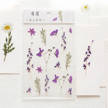 Tianzi 6 Dizaino, Natūralios Daisy Dobilų Japonų Žodžio Lipdukas Skaidrus Dekoro Lipduko Gėlių Lapų Augalų Dekoro Lipduko