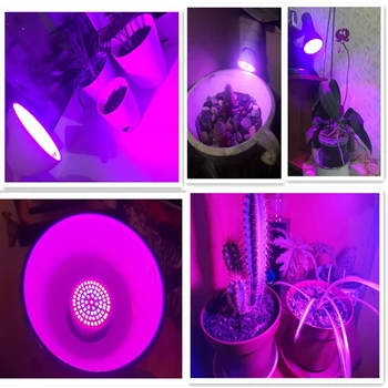 Viso Spektro LED Augalų Auga Lemputė E27 MR16 GU10 220V Fitolampy Fito Lempos Patalpų Sodo Augalai, Gėlių Hydroponics Augti