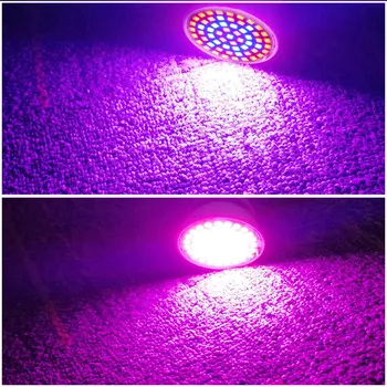 Visą Spektrą E27 220V LED Augalų Auga Lemputės Fitolampy Fito Lempos Patalpų Sodo Augalai, Gėlių Hydroponics Augti Palapinę Lauke