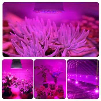 Visą Spektrą E27 220V LED Augalų Auga Lemputės Fitolampy Fito Lempos Patalpų Sodo Augalai, Gėlių Hydroponics Augti Palapinę Lauke