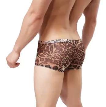 Vyriškos Kelnaitės Boxershorts Zebras, Leopardas spausdinimui Paprasto Kelnės Sexy Boksininkas Trumpikės M L XL