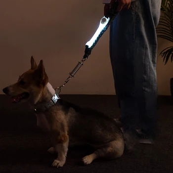 Šunų Antkaklis Šviesos Naminių Reikmenys baterijomis, LED Mirksi Padidėjo Matomumo Lauko Pėsčiomis Žėrintis Vandeniui Naktį Saugos