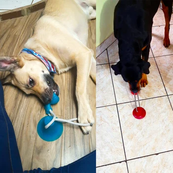 Šuo Interaktyvus siurbtukas Stumti TPR Kamuolys, Žaislai, Gyvūnėlių Molinis Bite Žaislas Elastiniai Lynai Šunų Dantų Valymo Kramtomoji naminių Gyvūnėlių Šuniuką Šunų Žaislai