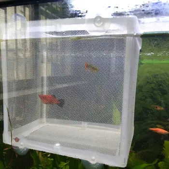 Žuvų Veisimo Inkubatorius Ju Kabo Žuvų Inkubavimo Atskirai Dėžutė Su Siurbimo Taurės Akvariumo žuvų bakas Priedai ping